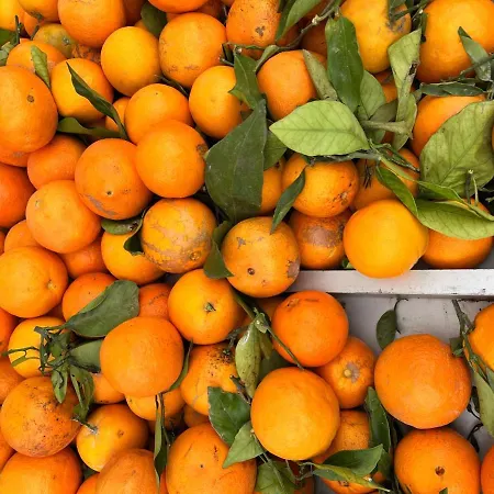 아파트 Casa Alegria With Pool 또레비에하