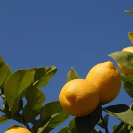 Casa Alegria With Pool