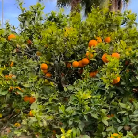 Appartement Casa Alegria With Pool *