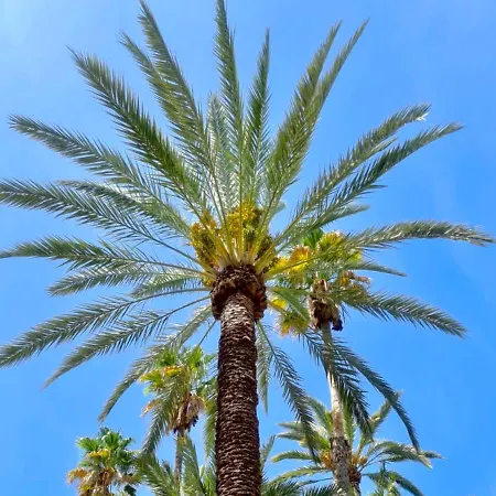 아파트 Casa Alegria With Pool