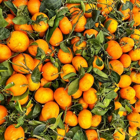 아파트 Casa Alegria With Pool