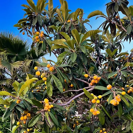 Casa Alegria With Pool *