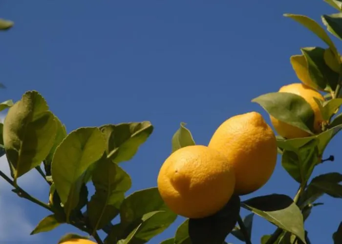 Casa Alegria With Pool