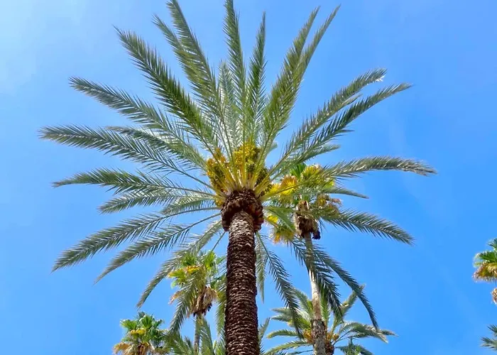 Lägenhet Casa Alegria With Pool