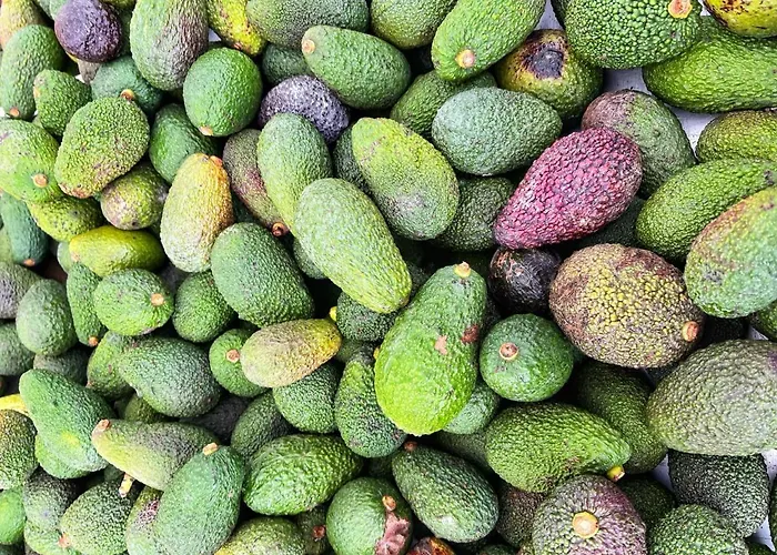 Casa Alegria With Pool Torrevieja