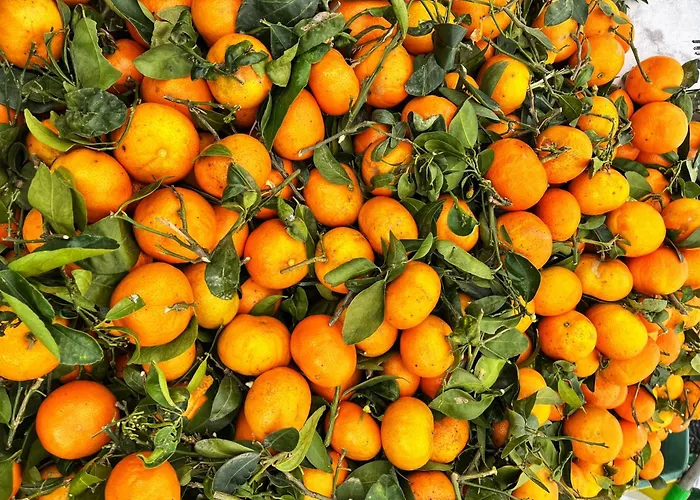 Lägenhet Casa Alegria With Pool