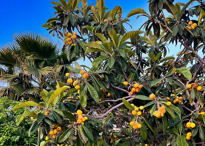 Casa Alegria With Pool *